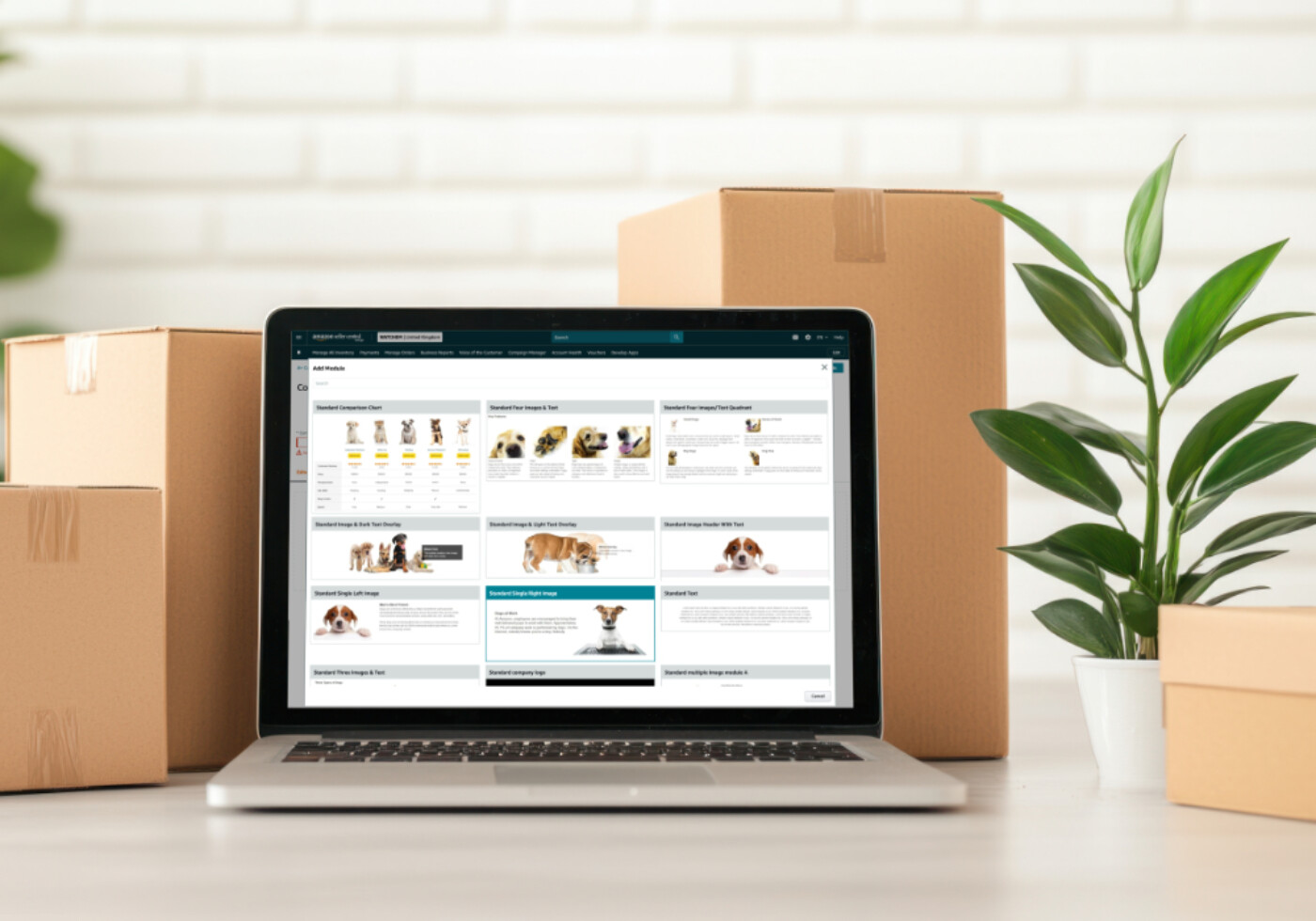 Laptop showing Amazon A+ Content creation interface with shipping boxes and a plant nearby.